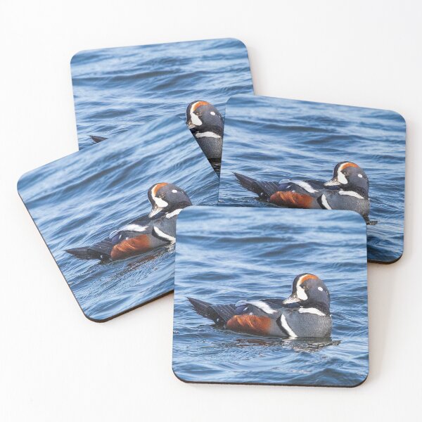 Item preview, Harlequin Duck of the Atlantic Ocean designed and sold by SophieZylaPhoto.