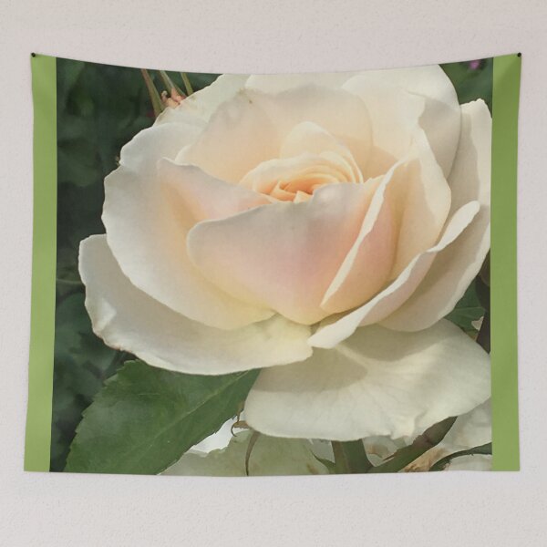 Item preview, Roses, Divine - White Rose in Summer Bloom designed and sold by RoseAromas.