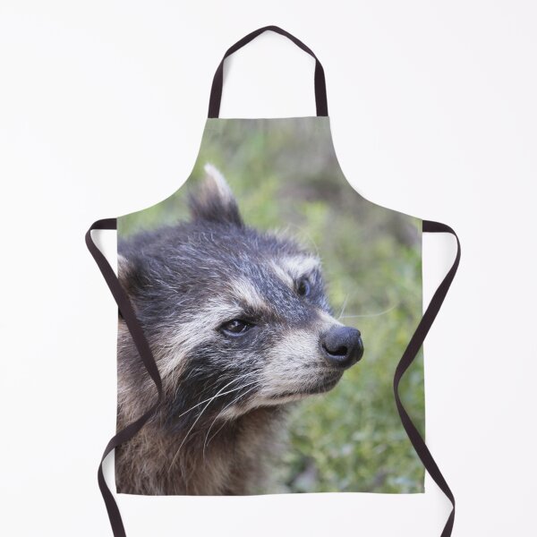 Item preview, Raccoon 519-1 designed and sold by Jamcolors.