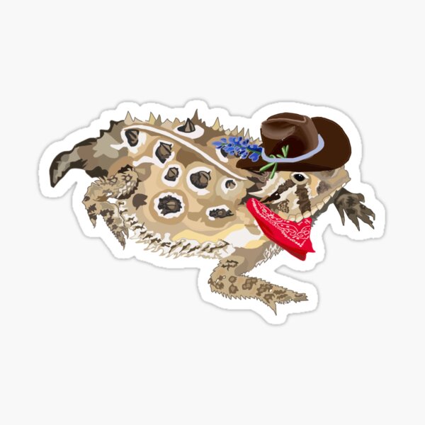 Horny Toad  Auqa/Clear Sticker Decal 