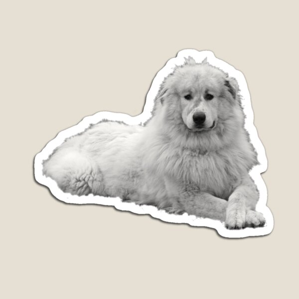 Item preview, Pyrenees Mountain dog designed and sold by Robert Elfferich.