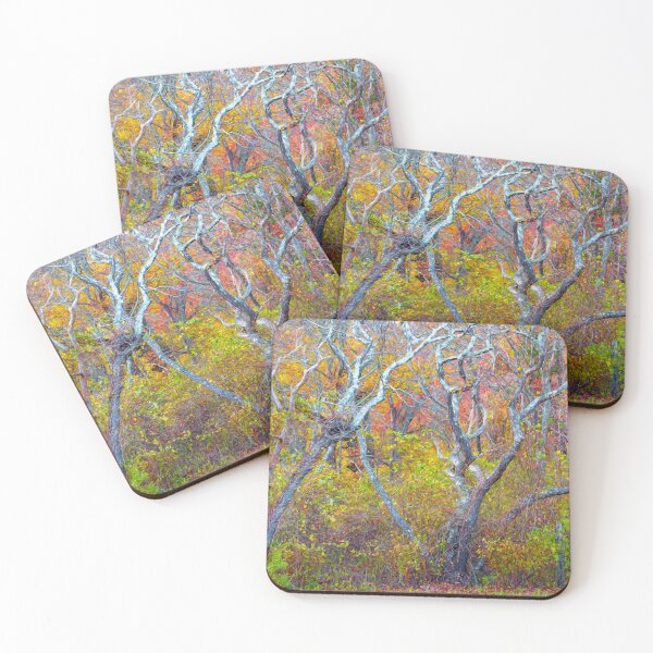 Item preview, Magic Impressions of Fall Woods designed and sold by SophieZylaPhoto.