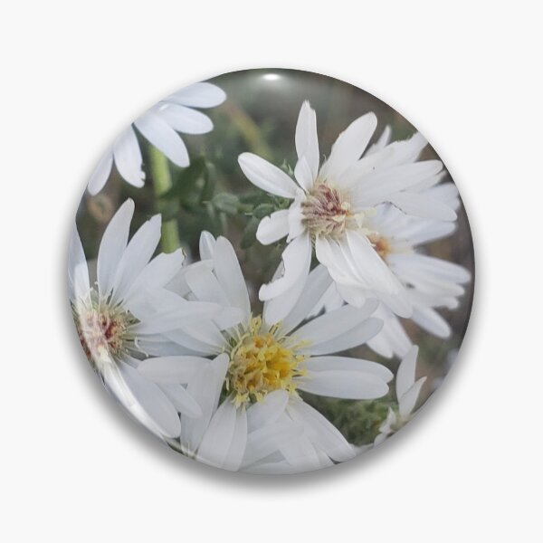 Item preview, White Asters designed and sold by regalviolet.