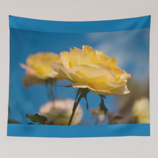 Item preview, Rose Face to the Sun designed and sold by TinyCameraNinja.
