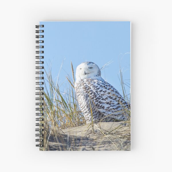 Item preview, Snowy Owl of Parker River designed and sold by SophieZylaPhoto.