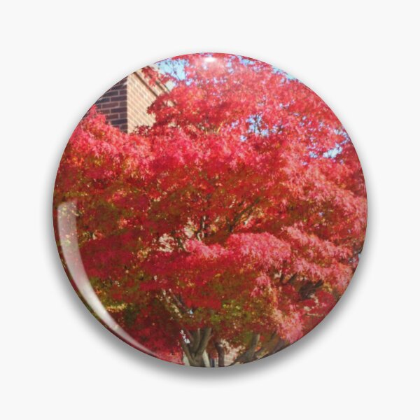 Item preview, Red Maple Tree designed and sold by Cynthia48.