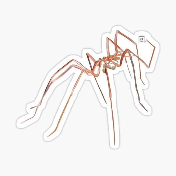 Daddy sea spider Sticker