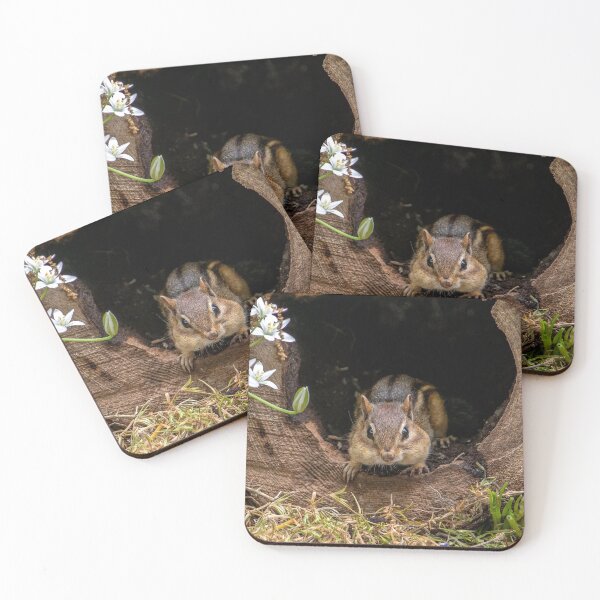 Item preview, Chipmunk peeks out of his log home designed and sold by Susan Sheldon.