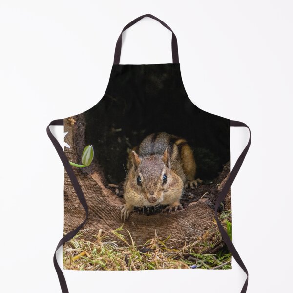Item preview, Chipmunk peeks out of his log home designed and sold by Susan Sheldon.