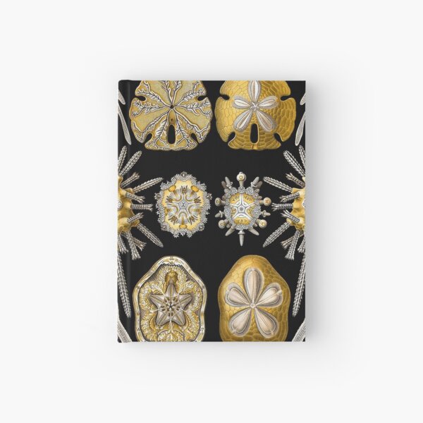 Macro Sea Creatures Sea Urchins Hardcover Journal