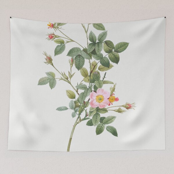 Item preview, Les Roses by Pierre-Joseph Redouté designed and sold by EsotericBotanic.