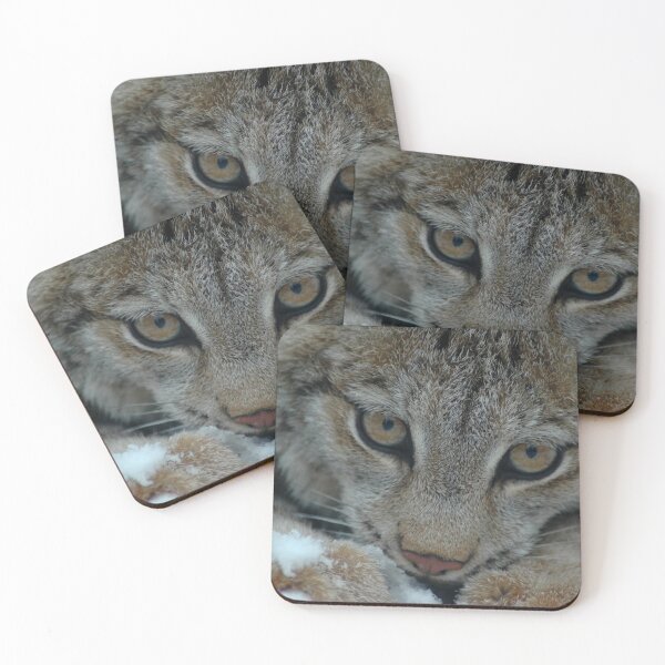 Aperçu de l'œuvre Lynx d'hiver créée et vendue par KobelskiDesigns.