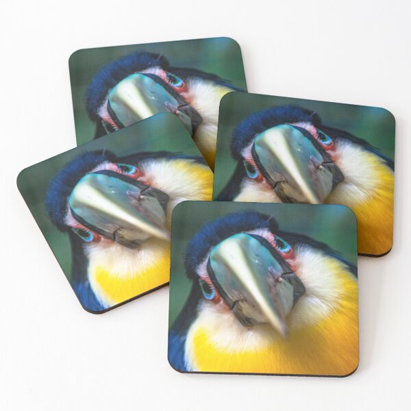 Item preview, portrait of Toucan designed and sold by Alf Ribeiro.