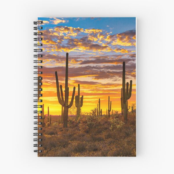 Item preview, Desert Cactus Sunset designed and sold by MuscleCarTs.