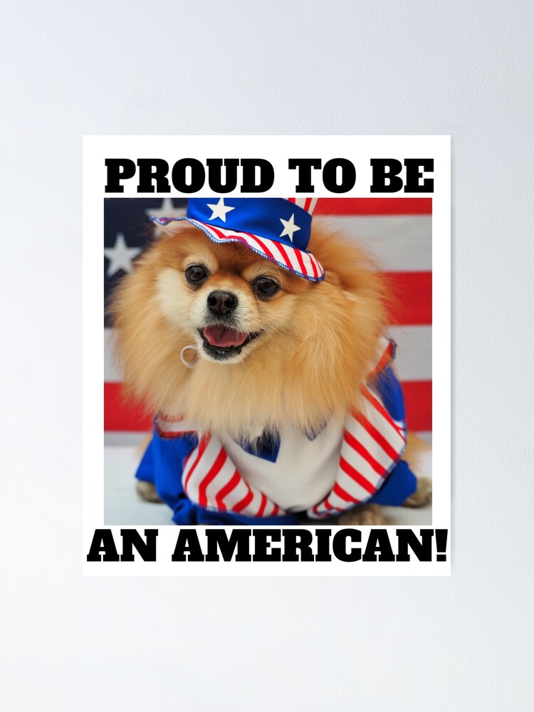 Cute American Patriotic Uncle Sam Pomeranian Dog 