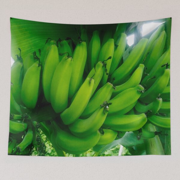 Item preview, Plantain designed and sold by gloriasd14.