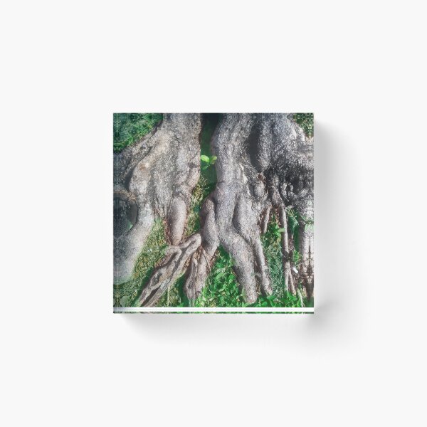 Item preview, Beautiful Tree roots  designed and sold by gloriasd14.