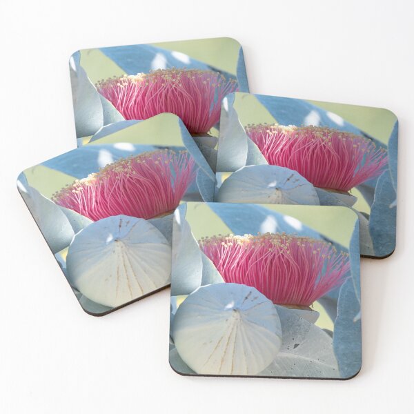 Item preview, Mottlecah Magic designed and sold by SallyB.Photography.