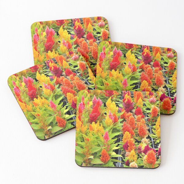 Item preview, Celosias of Beauty designed and sold by WHBPhotoArt.