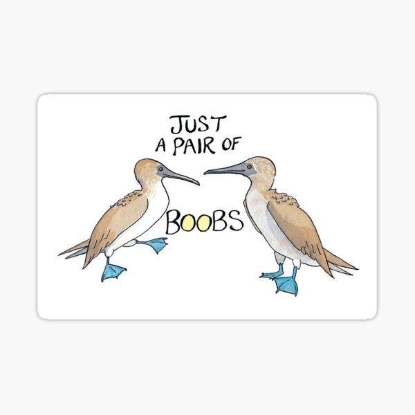 Nice Pair of Boobies Funny Booby Bird Gift' Sticker