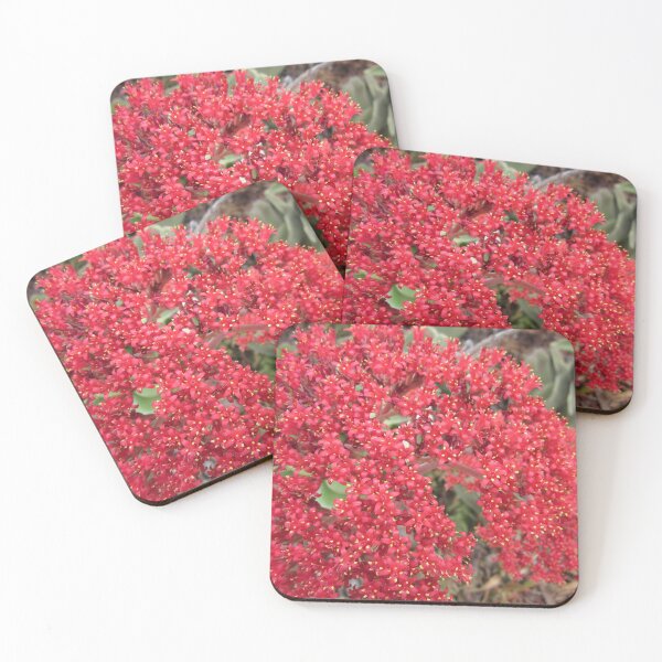 Item preview, Red Floral Delight designed and sold by Honey Myrtle Studio.