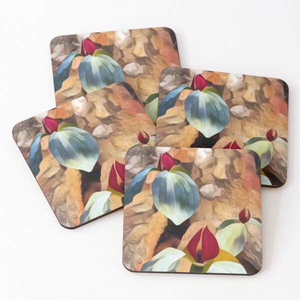 Item preview, Trillium morning designed and sold by LaskoPhotos.