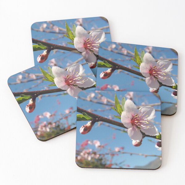 Item preview, Cherry Blossom designed and sold by BaconCupcake.