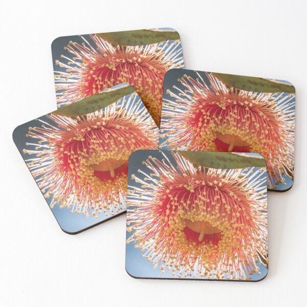 Item preview, Backlight Beauty designed and sold by SallyB.Photography.