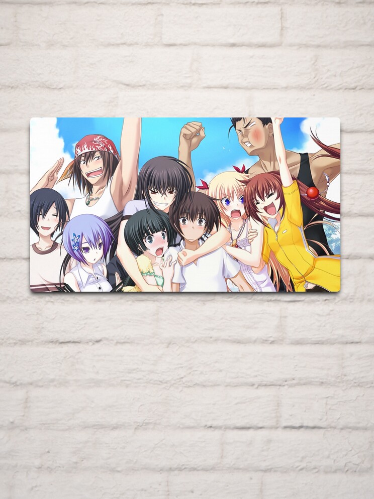 Infinite Stratos 1 Art Board Print for Sale by Dylan5341