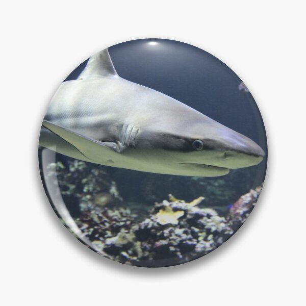 Item preview, Blacktip Shark designed and sold by Scubaloppy.