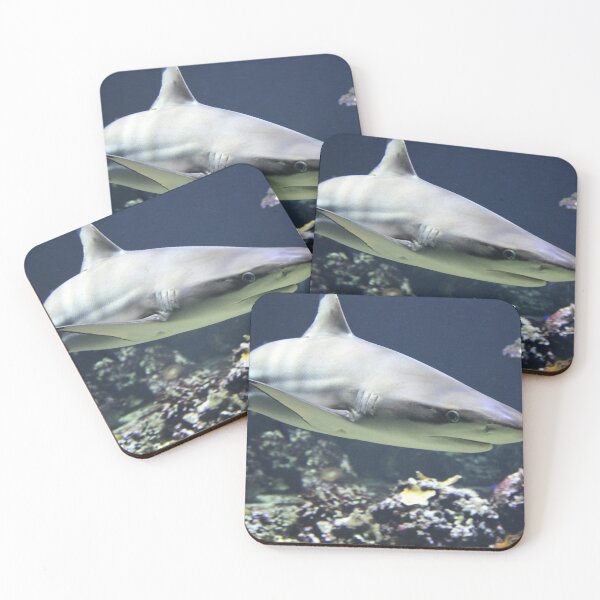 Item preview, Blacktip Shark designed and sold by Scubaloppy.
