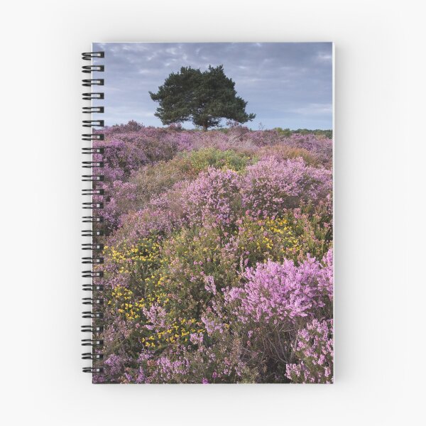 Item preview, Dunwich evening designed and sold by ccullen222.