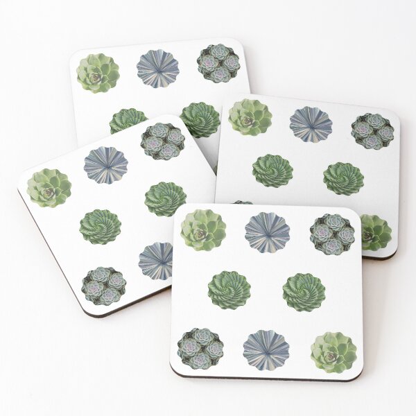Artikelvorschau, Gemischte Sukkulenten Foto Nahaufnahme Multi Pack Set entworfen und verkauft von EdenLiving.