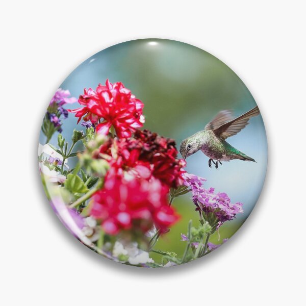 Item preview, Humming Bird designed and sold by TKcreative.