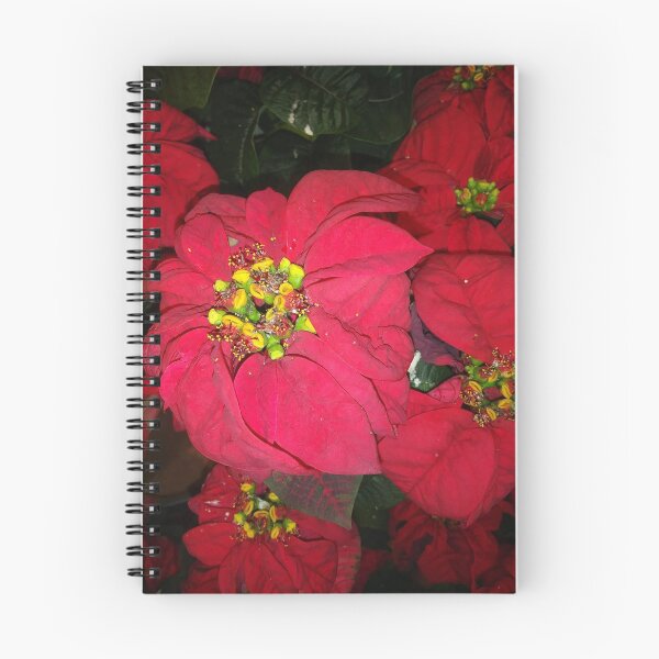 Item preview, Holiday Poinsettia designed and sold by EnticingRose.