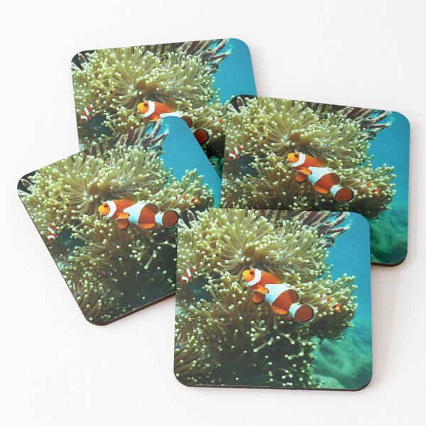 Item preview, Clown Fish designed and sold by Scubaloppy.