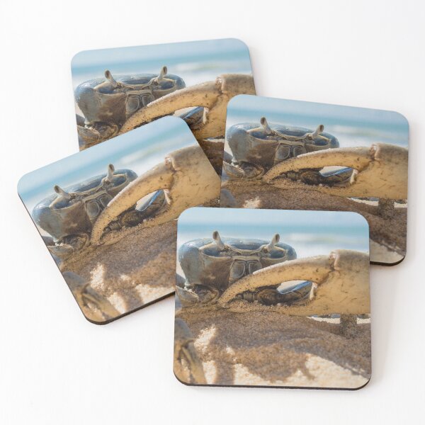 Item preview, Crab on the beach designed and sold by Scubaloppy.