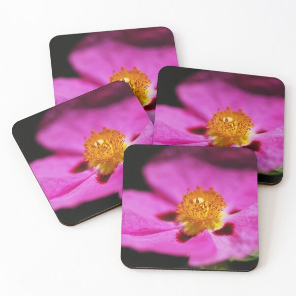 Item preview, The Hibiscus Desert Rose On Black  designed and sold by Joy Watson - Natural Light Photography .