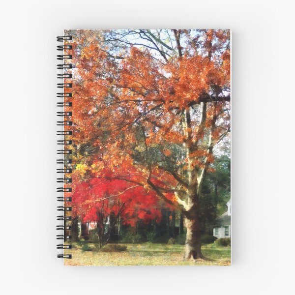 Item preview, Autumn Sycamore Tree designed and sold by Susan Savad.
