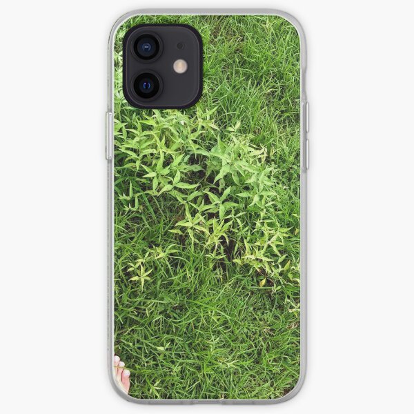 About Your Departure iPhone Soft Case