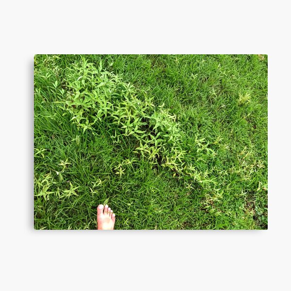 About Your Departure Canvas Print