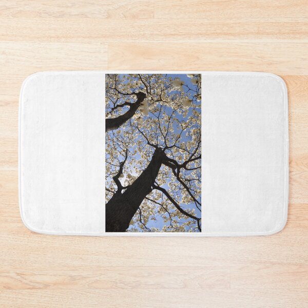 Item preview, Magnolias in Fisheye designed and sold by Mike Ashley.