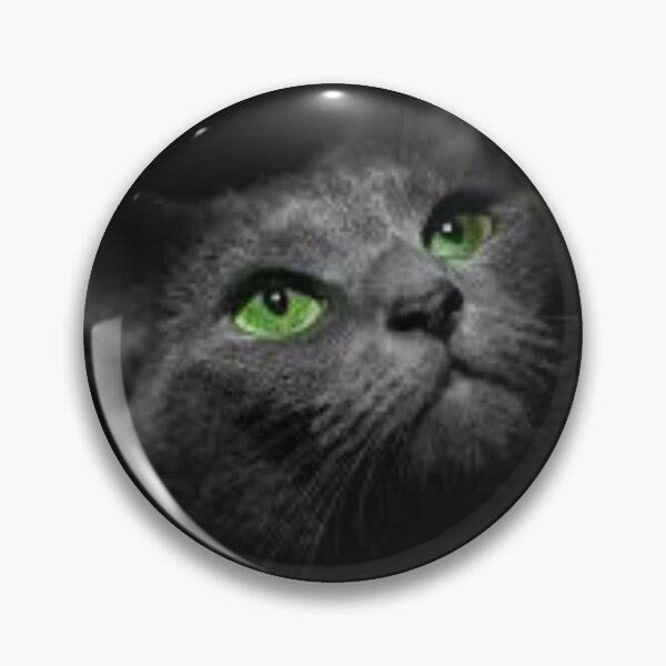 Item preview, I'm Cat Lover designed and sold by LoversOfEver.