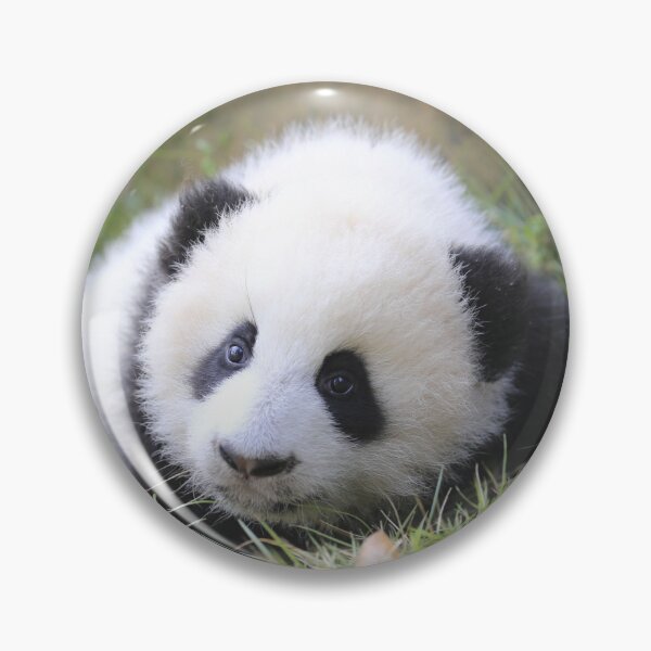 Item preview, Cute Snow Panda designed and sold by Pandamamstore.