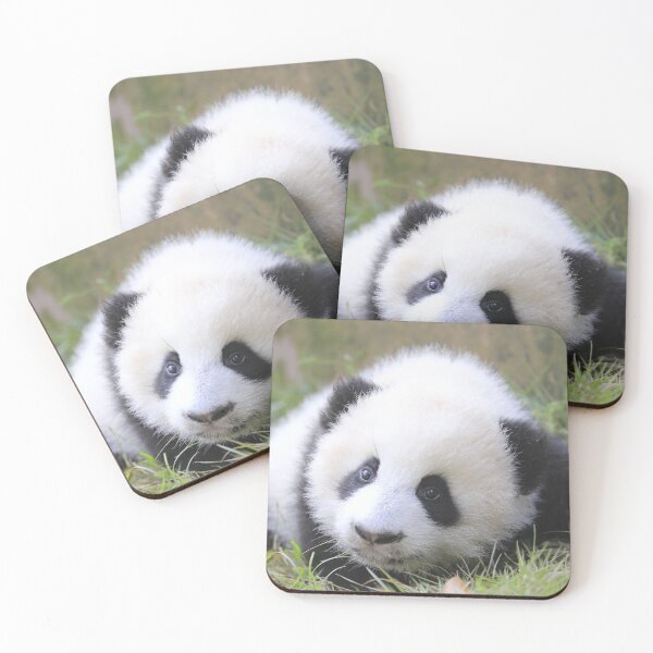 Item preview, Cute Snow Panda designed and sold by Pandamamstore.