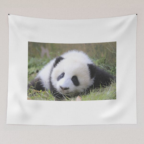 Item preview, Cute Snow Panda designed and sold by Pandamamstore.