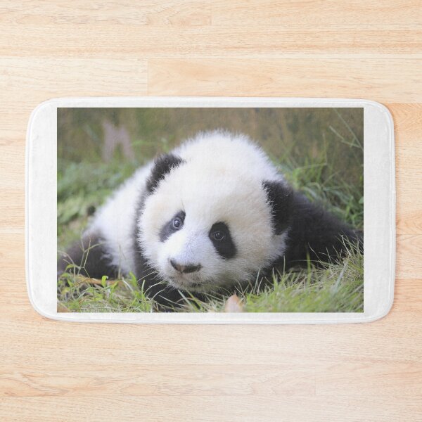 Item preview, Cute Snow Panda designed and sold by Pandamamstore.