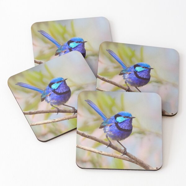 Item preview, Splendid Fairywren Magic by Christine Chester  designed and sold by cschester4.