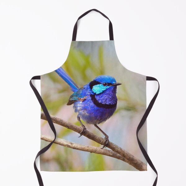Aperçu de l'œuvre Splendid Fairywren Magic par Christine Chester créée et vendue par cschester4.