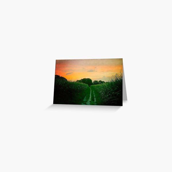 Sunset #2, Norg Netherlands Greeting Card